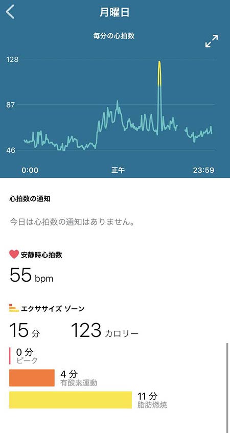 Fitbit heart rate recording screen