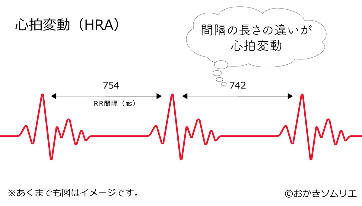 HRV explanatory diagram　心拍変動の解説図（作成：おかきソムリエ）