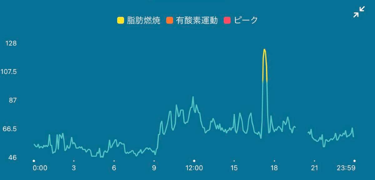 Fitbit Heart rate graph