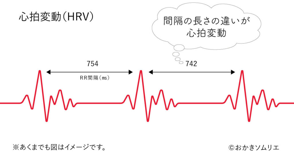 心拍変動（HRV）：心拍数のゆらぎをイメージした説明図（本人作成）