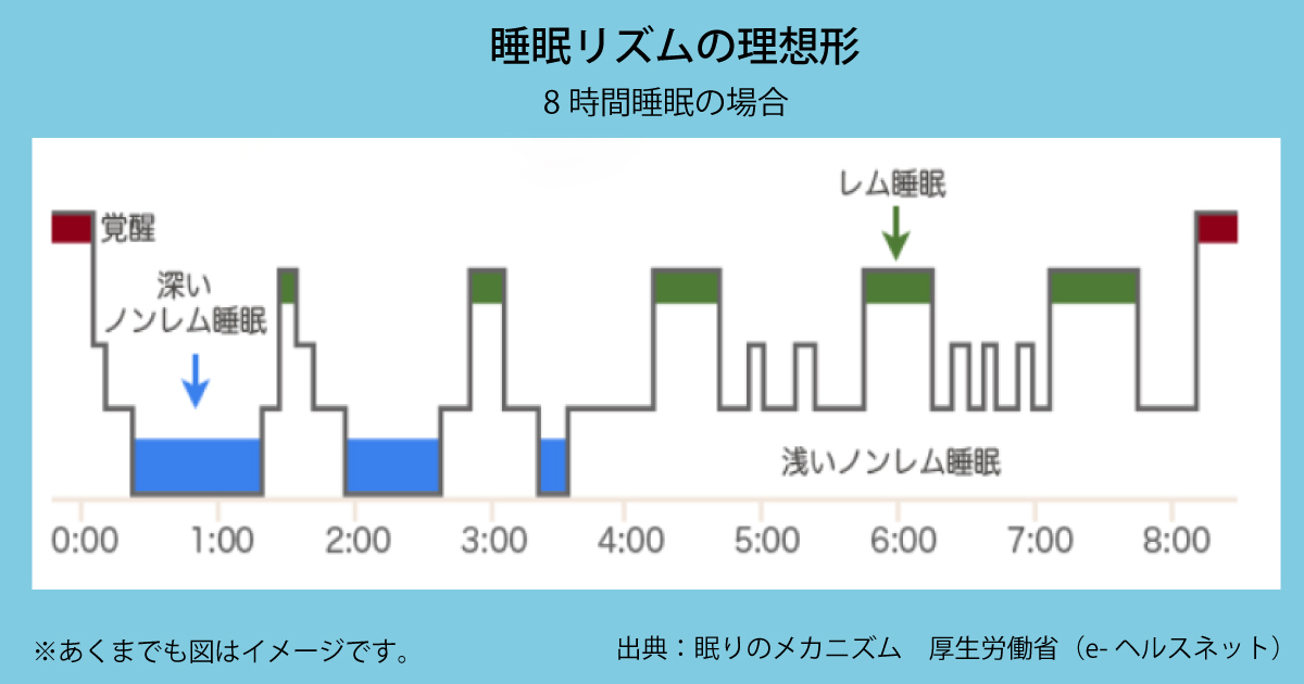 睡眠リズムの理想形（グラフの推移）出典：眠りのメカニズム　厚生労働省（e-ヘルスネット）