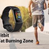 Fitbit Fat Burning Zone