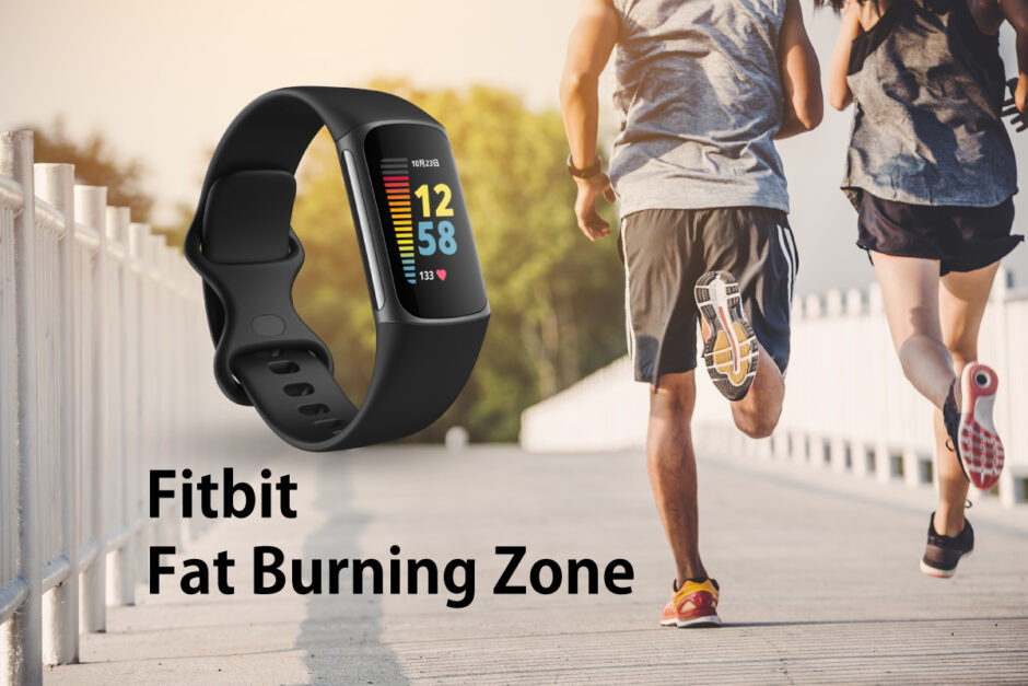 Fitbit Fat Burning Zone