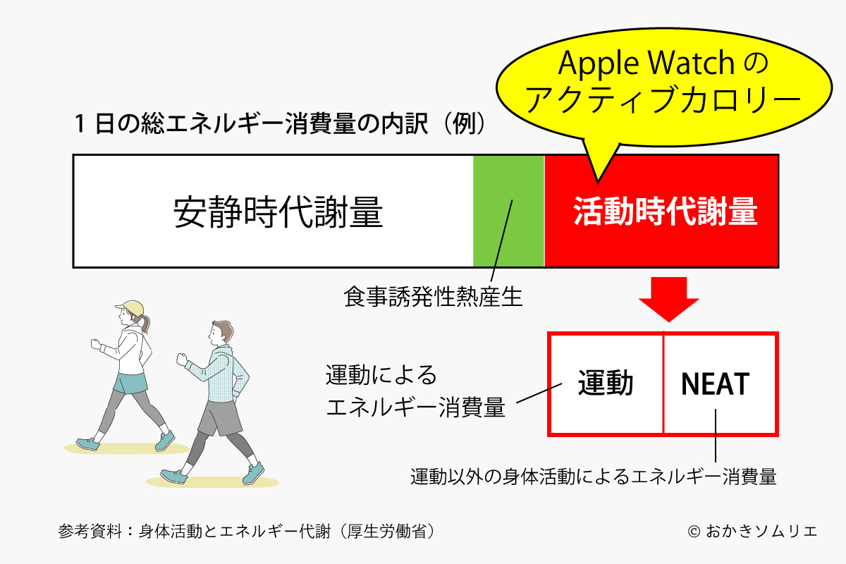 AppleWatchのアクティブカロリーについての解説図(参考:厚生労働省HP)作成:おかきソムリエ