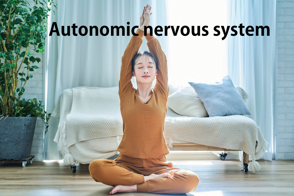 Autonomic nervous system
自立神経系を整える体操をする様子（イメージ画像）