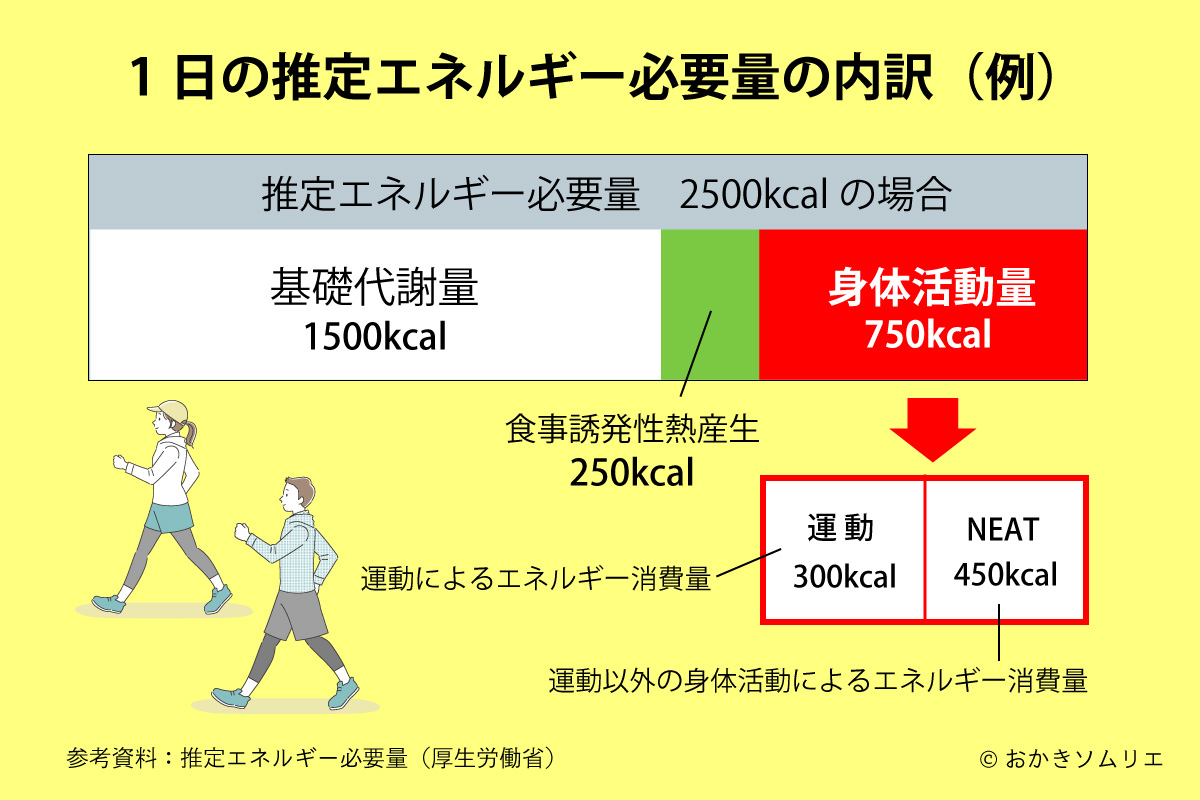1日の推定エネルギー必要量からみた身体活動量の内訳解説図(作成:おかきソムリエ)