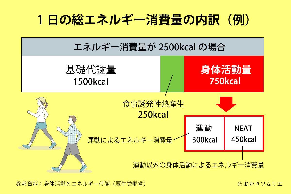 1日の総エネルギー消費量の内訳例の解説図(エネルギー消費量が2500kcalの場合)参考資料:身体活動とエネルギー代謝 厚生労働省