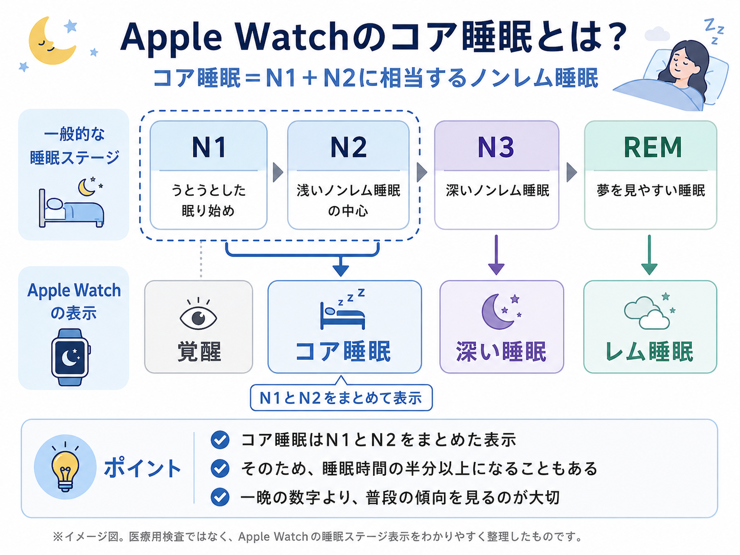 Apple Watchのコア睡眠は、一般的な睡眠ステージのN1とN2をまとめた表示であることを示した解説図。
