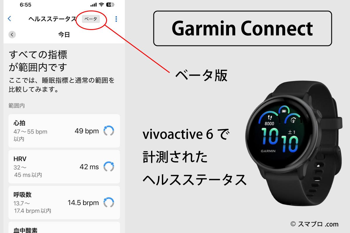 筆者のvivoactive 6で計測、表示されたヘルスステータスのスクリーンショット画面の解説図（スマブロ.com）